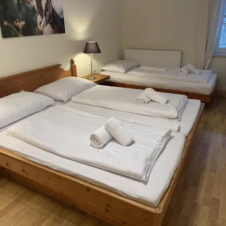 Alpenlodge, 16